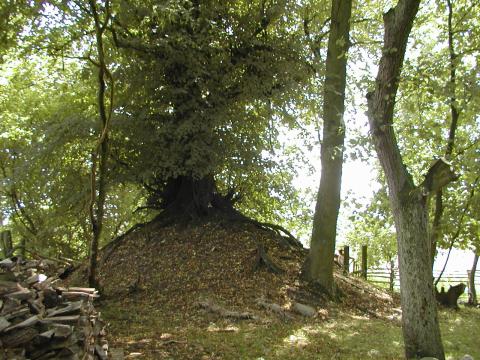 H&uuml;gelgrab, Aug. 2001